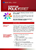 PIDOP Policy Briefing Paper No. 4